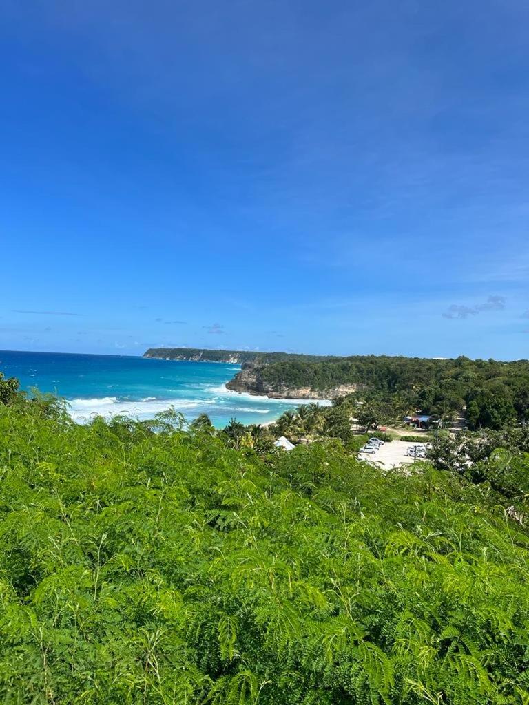  La Kaz A Coyoky Villa Anse-Bertrand Kültér fotó